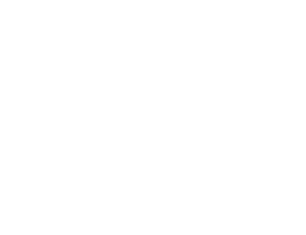 Birthing Peace logo